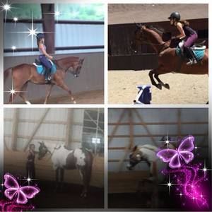 Meet your Posher, Sam